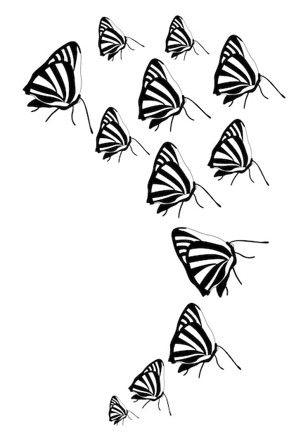 Butterfly silhouette Clipart vector isolated on white background