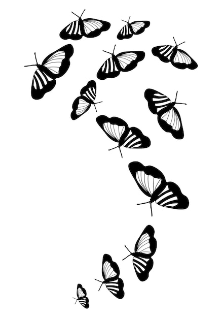 白い背景に分離された蝶のシルエット クリップアート ベクトル