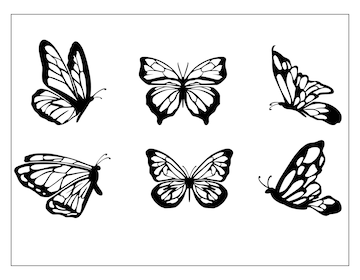 Premium Vector | Butterfly silhouette drawing in black and white