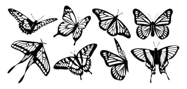 Vector butterfly silhouette icons set vector illustrations