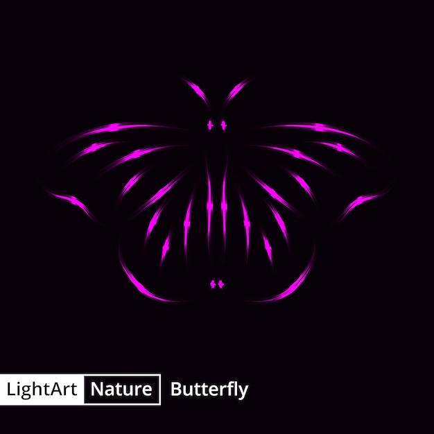 Butterfly silhouette of lights on black background