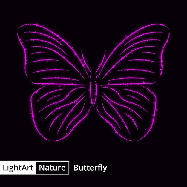 Butterfly silhouette of lights on black background