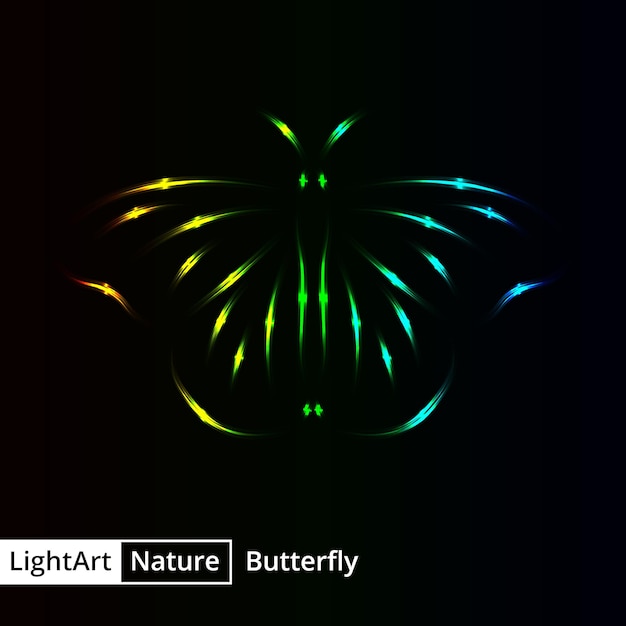 Butterfly silhouette of lights on black background