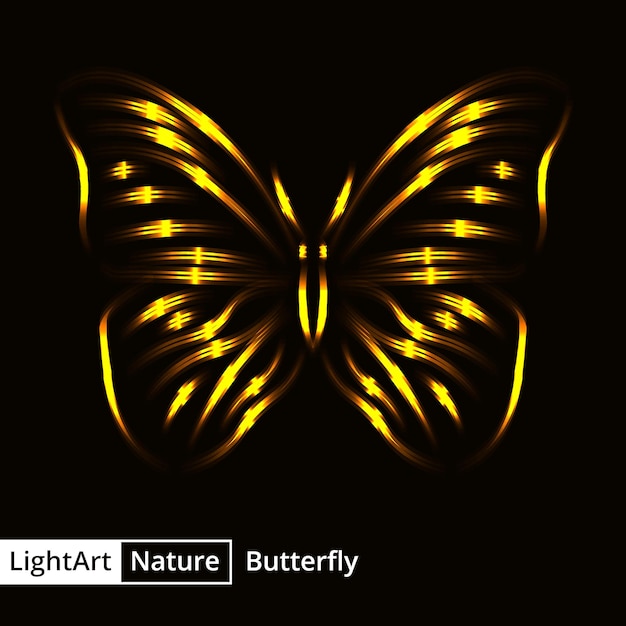 Butterfly silhouette of lights on black background