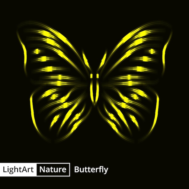 Butterfly silhouette of lights on black background