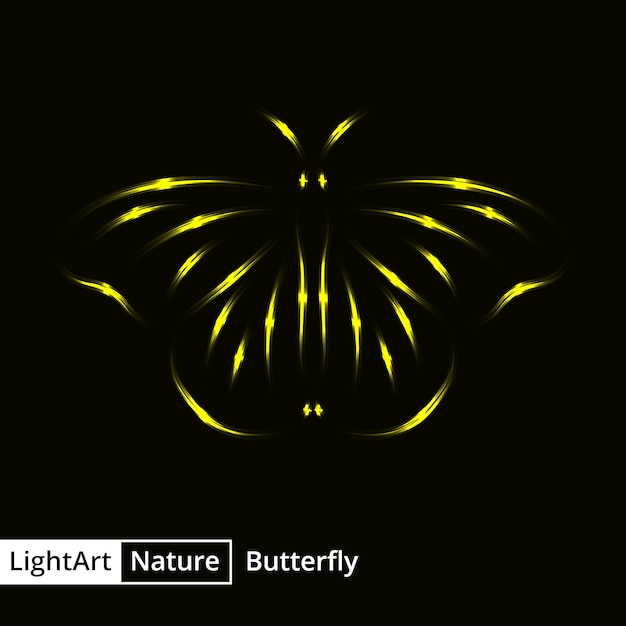 Butterfly silhouette of lights on black background