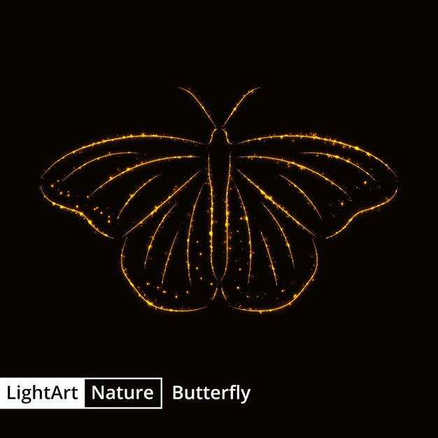 黒の背景にライトの蝶のシルエット