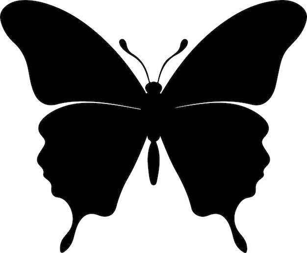 Butterfly silhouette vector illustration white background