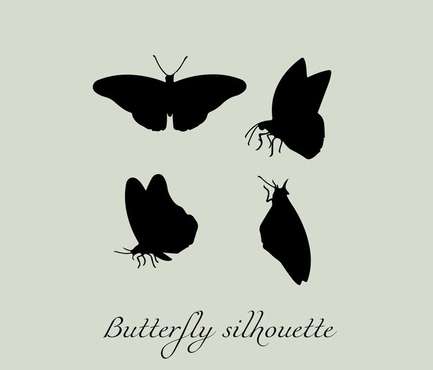 Vector butterfly silhouette