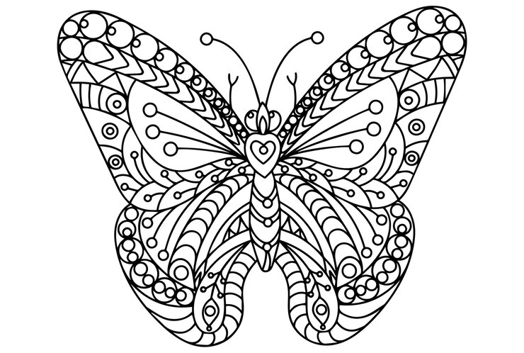 Vector butterfly silhouettemandala butterfly