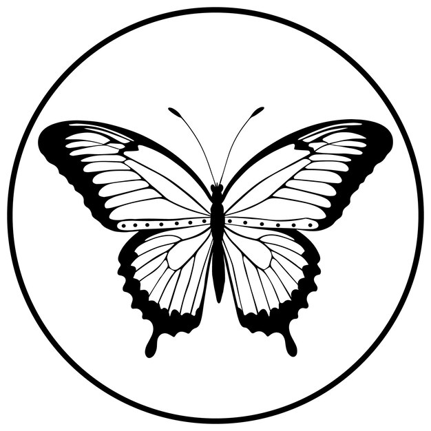 Силуэты и иконы бабочек Черный плоский цвет белый фон птицы вектор и иллюстрация
