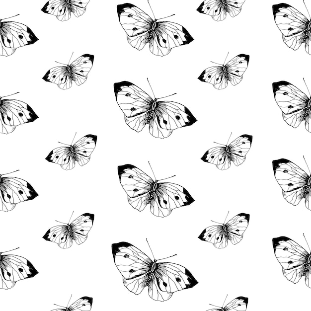 Butterfly sketch pattern. Hand drawn insect butterflies cabbage on white background. Seamless vector backdrop.