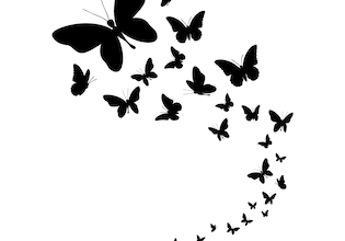 siluetas de mariposa