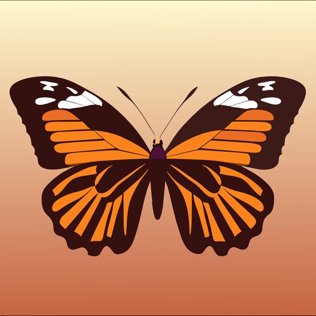 Butterfly vector art creative versatility unleashed