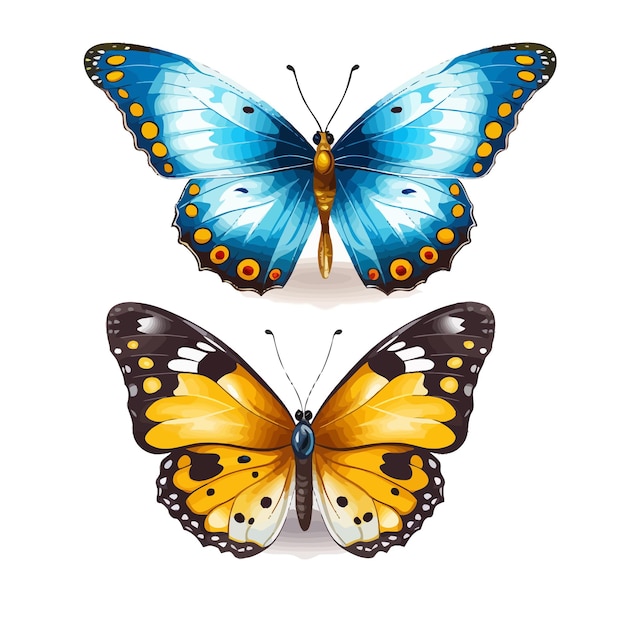 Vector butterfly vector art illustration