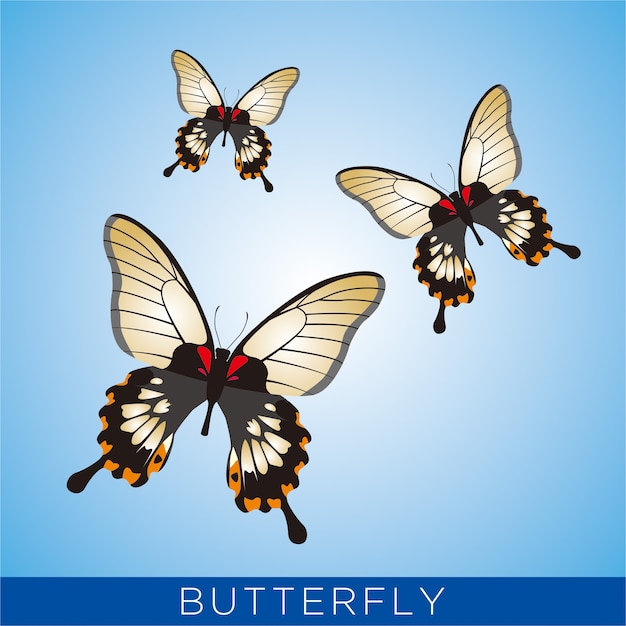 Butterfly vector elements