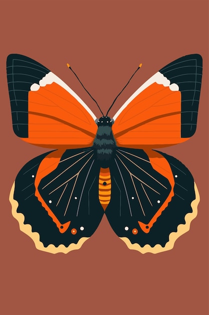 Premium Vector | Butterfly Vector illustration of a butterfly on a