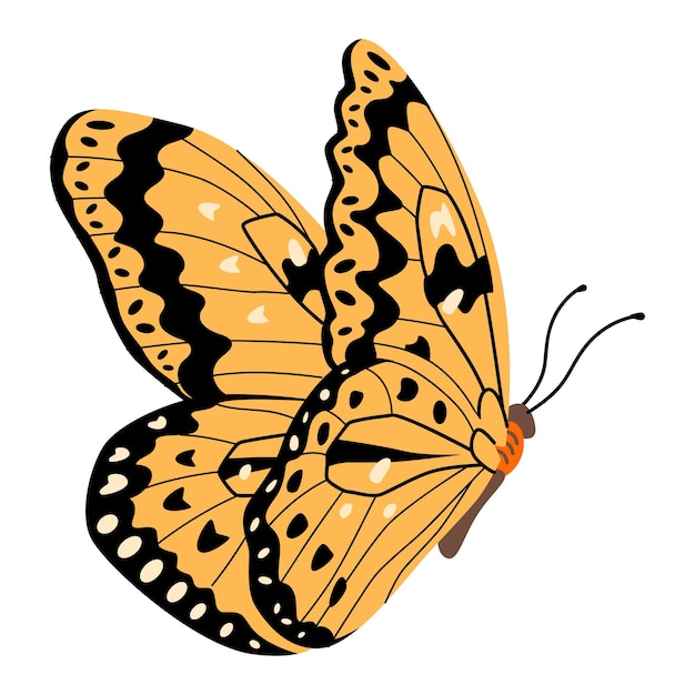 Butterfly vector illustration clipart. Cute Butterfly isolated.