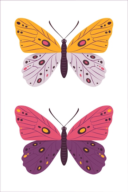 蝶のベクトル図