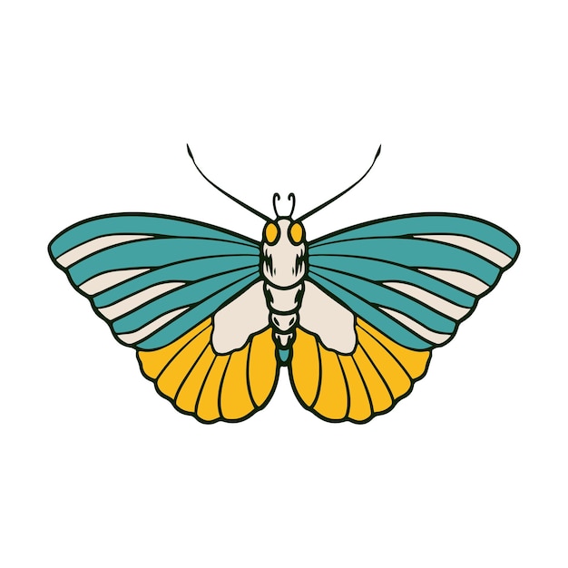 Butterfly Vector Illustration