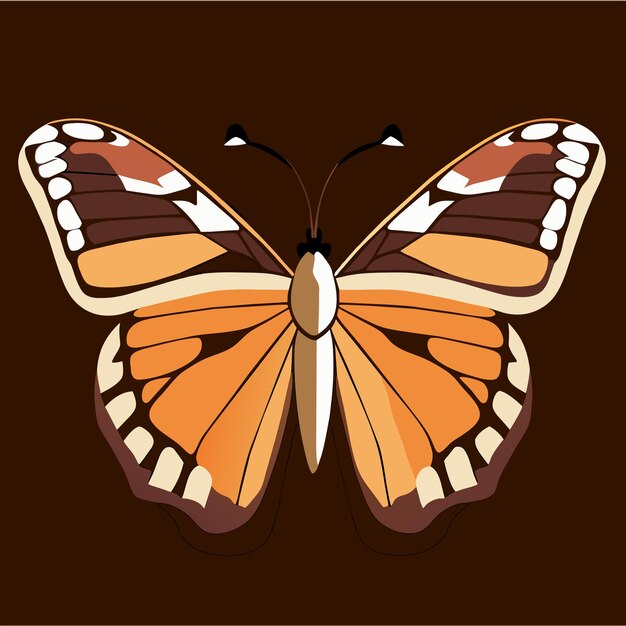 Butterfly vector illustrations endless options