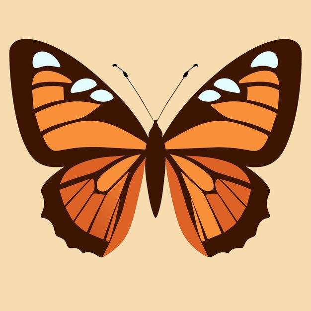 Vector butterfly vector illustrations your artistic playground awaits