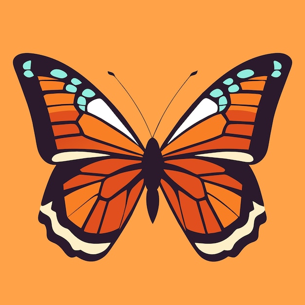 Butterfly Vector Images Get Ready for Your Creative Paradise