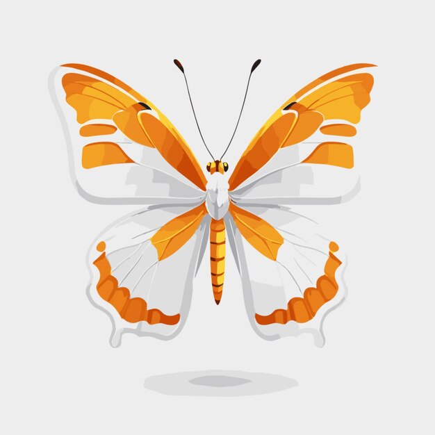 Butterfly vector on white background