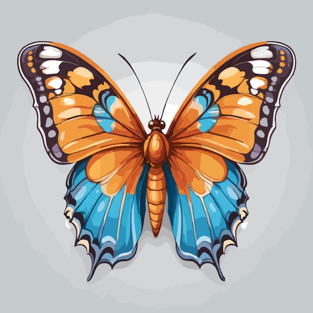 Butterfly vector on a white background