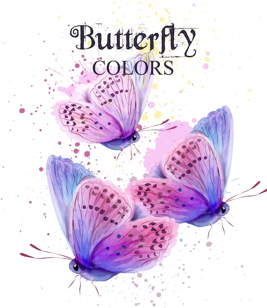 Butterfly watercolor card