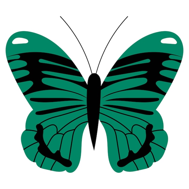 Vector butterfly on a white background in a flat style