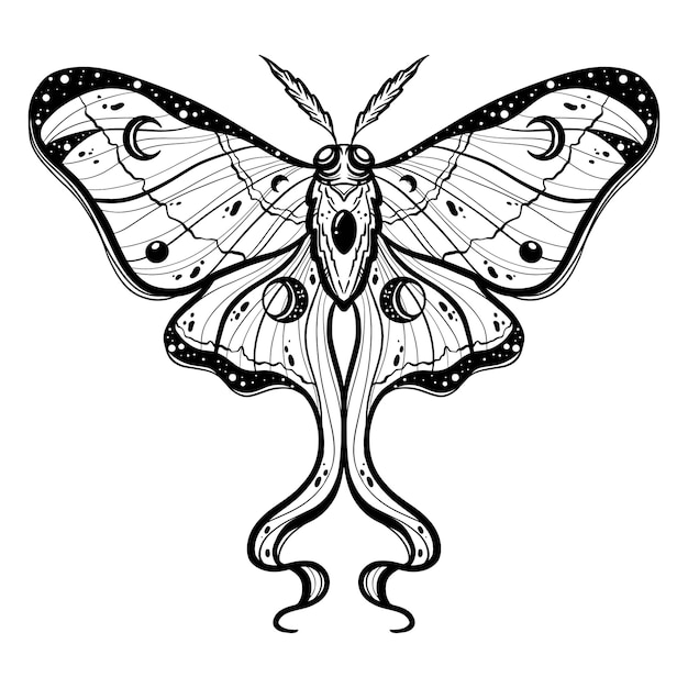 Butterfly Tattoo Moth Geometry Luna Retro Drawing Clipart  Luna Moth Tattoo  Line HD Png Download  vhv