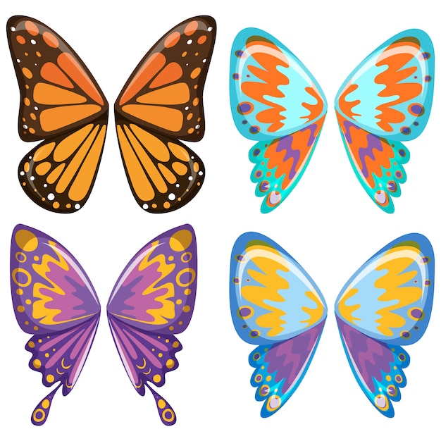 Butterfly wings collection