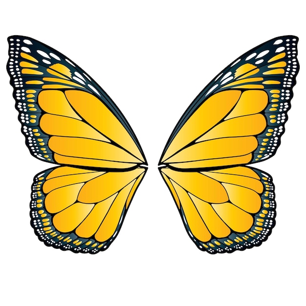 Vector butterfly wings