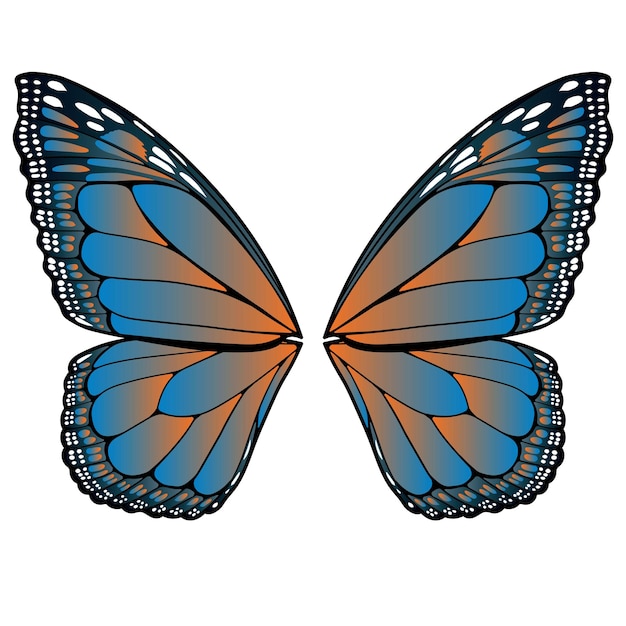 Vector butterfly wings