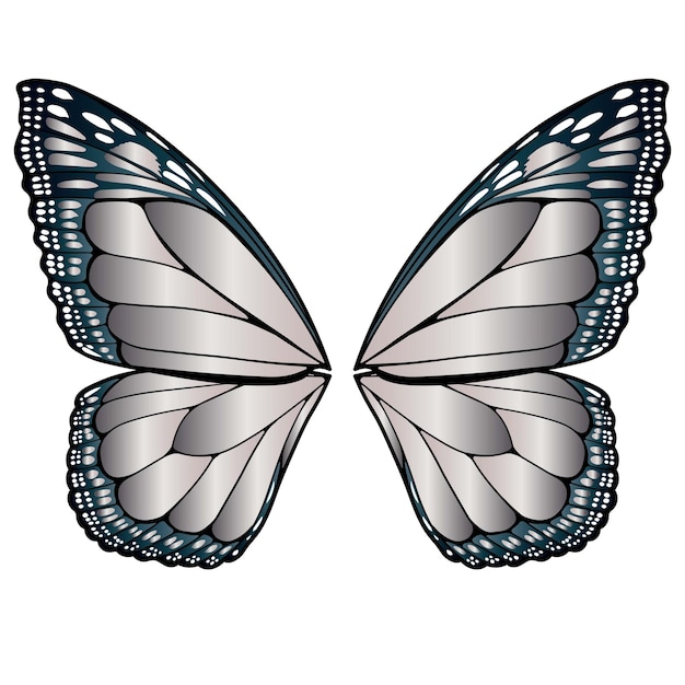 Vector butterfly wings