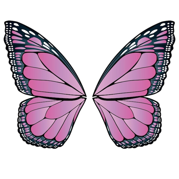 Vector butterfly wings