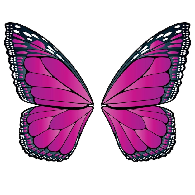 Vector butterfly wings