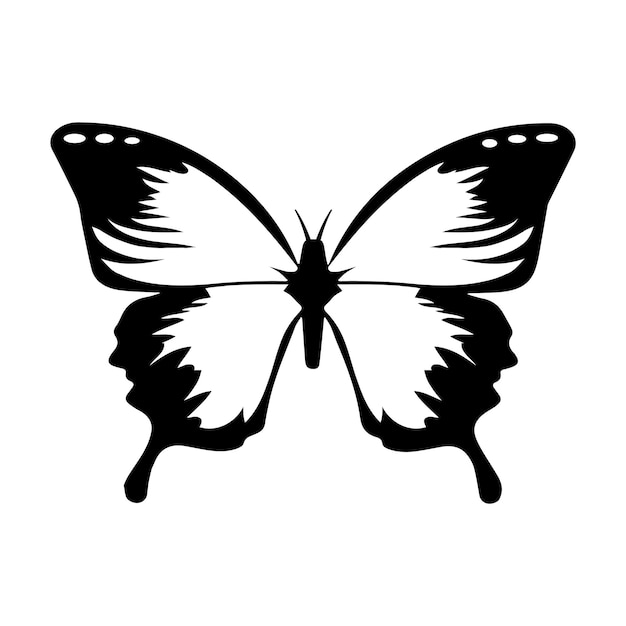 A butterfly with a black outline on the front.