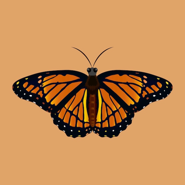 Butterfly with Colorful Design and Brown Background