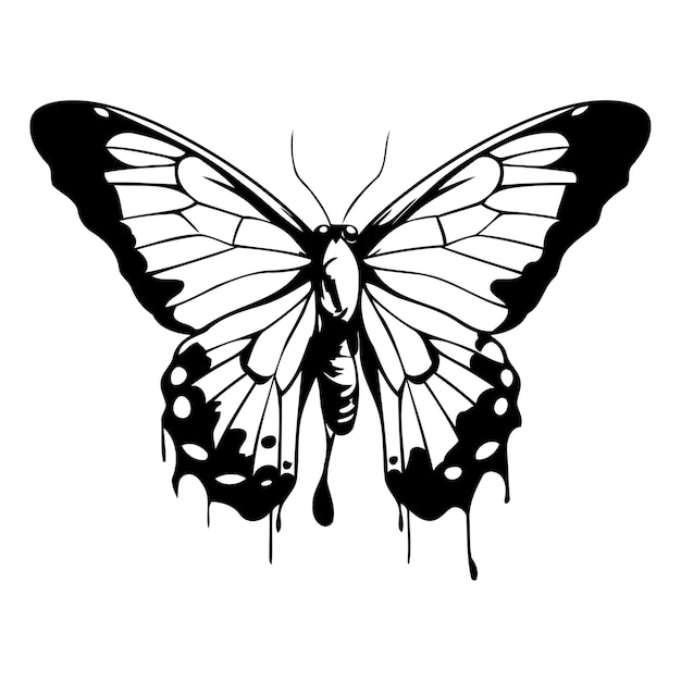 Butterfly with paint splashes Hand drawn vector illustration