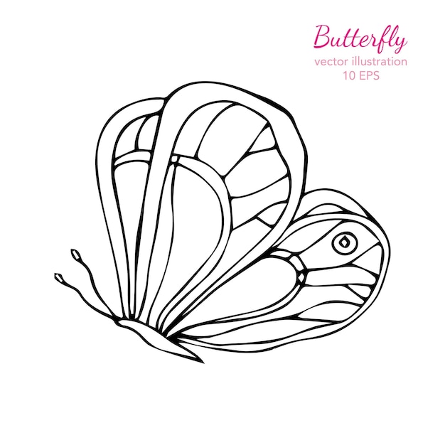 Butterfly with strip icon. outline illustration of butterfly with strip vector icon for web