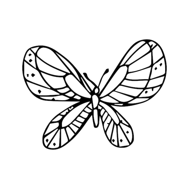 Бабочка с иконой полосы. Контурная иллюстрация бабочки с иконкой вектора полосы для паутины