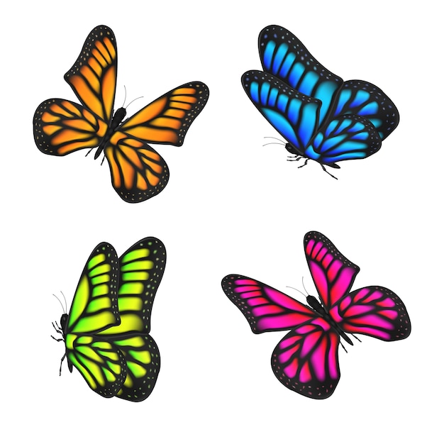 Vector butterfly