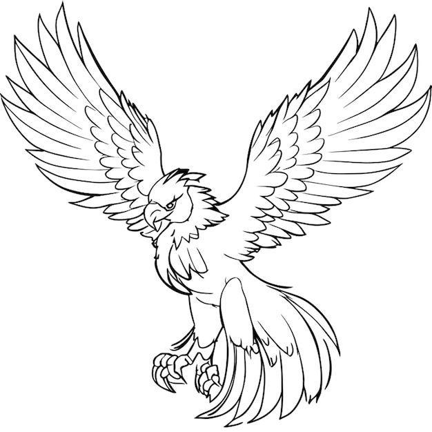 bw clear online eagle fly full body vector illustration line art
