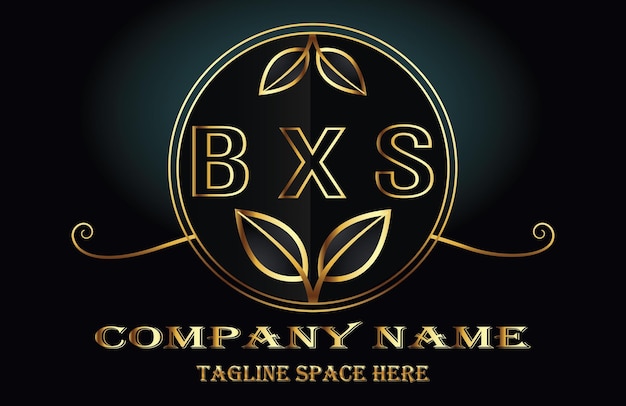 Vettore logo delle lettere bxs