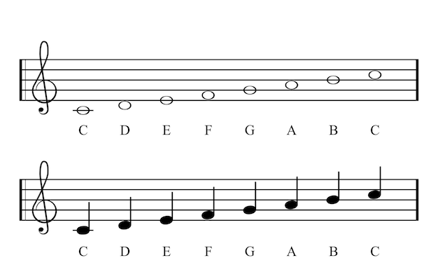 Vector c major scale, full notes. key of c. major scale based on c. one of the most common key signatures in western music. the white keys on the piano. it has no flats and no sharps. illustration. vector.