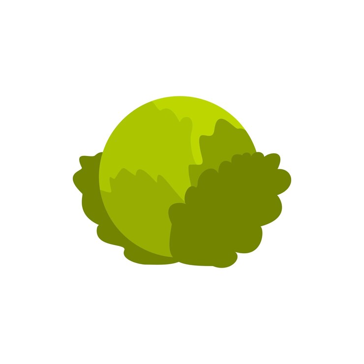 Vector cabbage icon in flat style on a white background