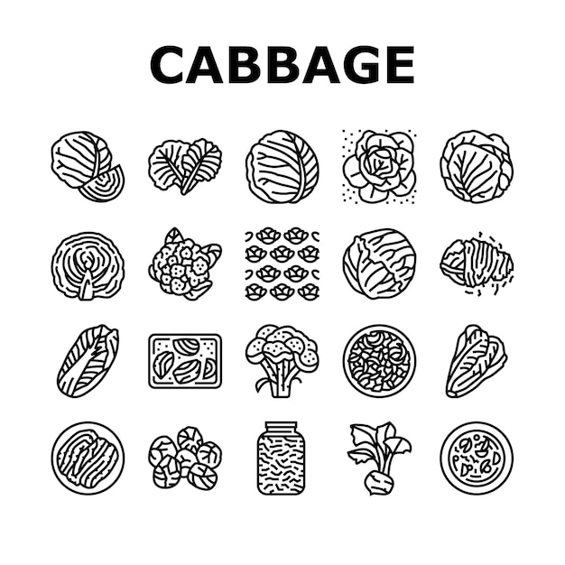 Cabbage Natural Vitamin Food Icons Set Vector