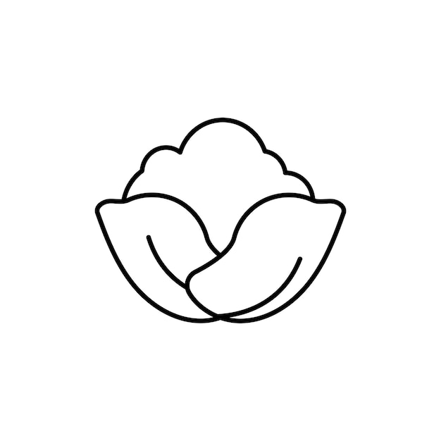 Cabbage vegetable icon